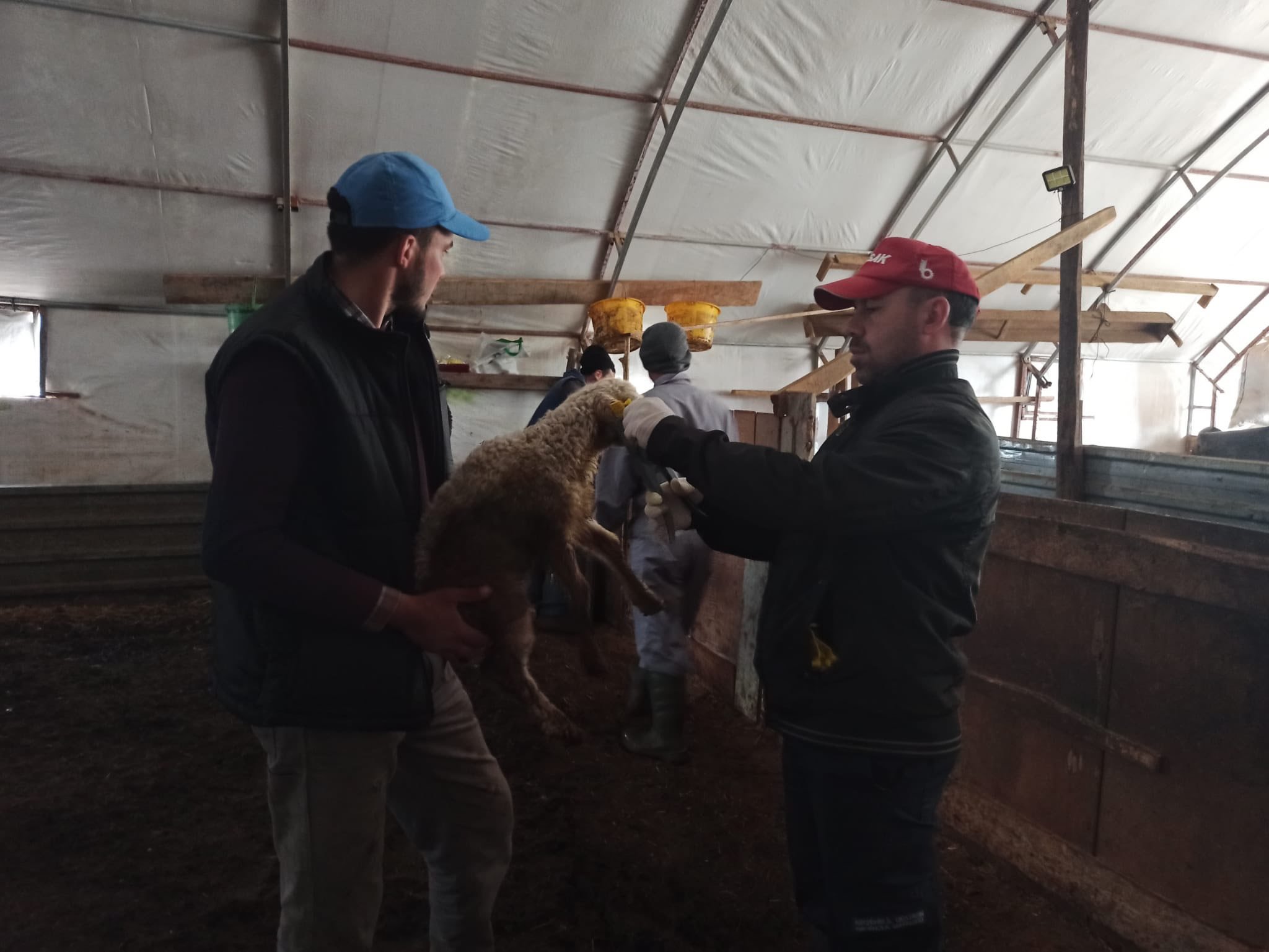 669417454 956561413515289 3917615988852889345 N