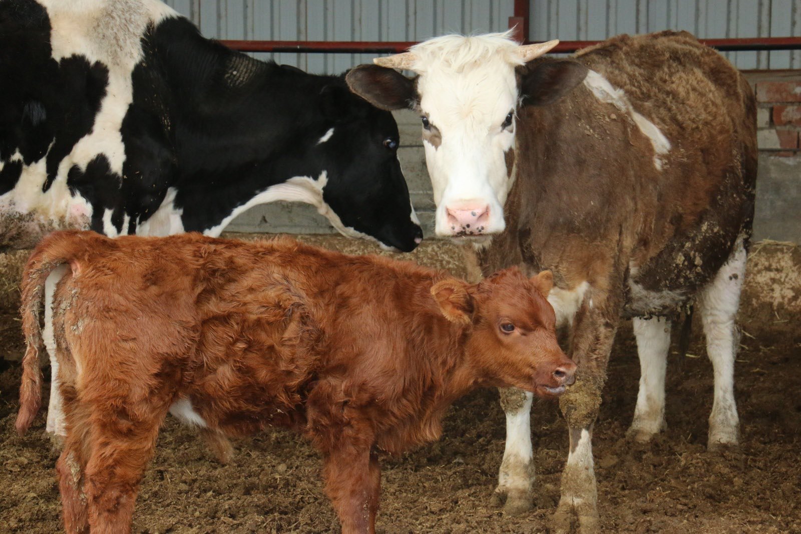 672840492 958975346607229 8812921829706661451 N