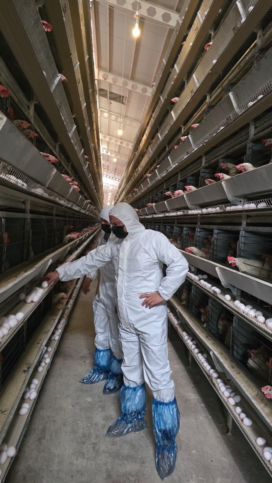 678384691 965225779315519 3874405968723868386 N