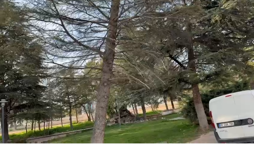 Kırşehir Diş Hastanesi Yanındaki Görüntü Dikkat Çekti