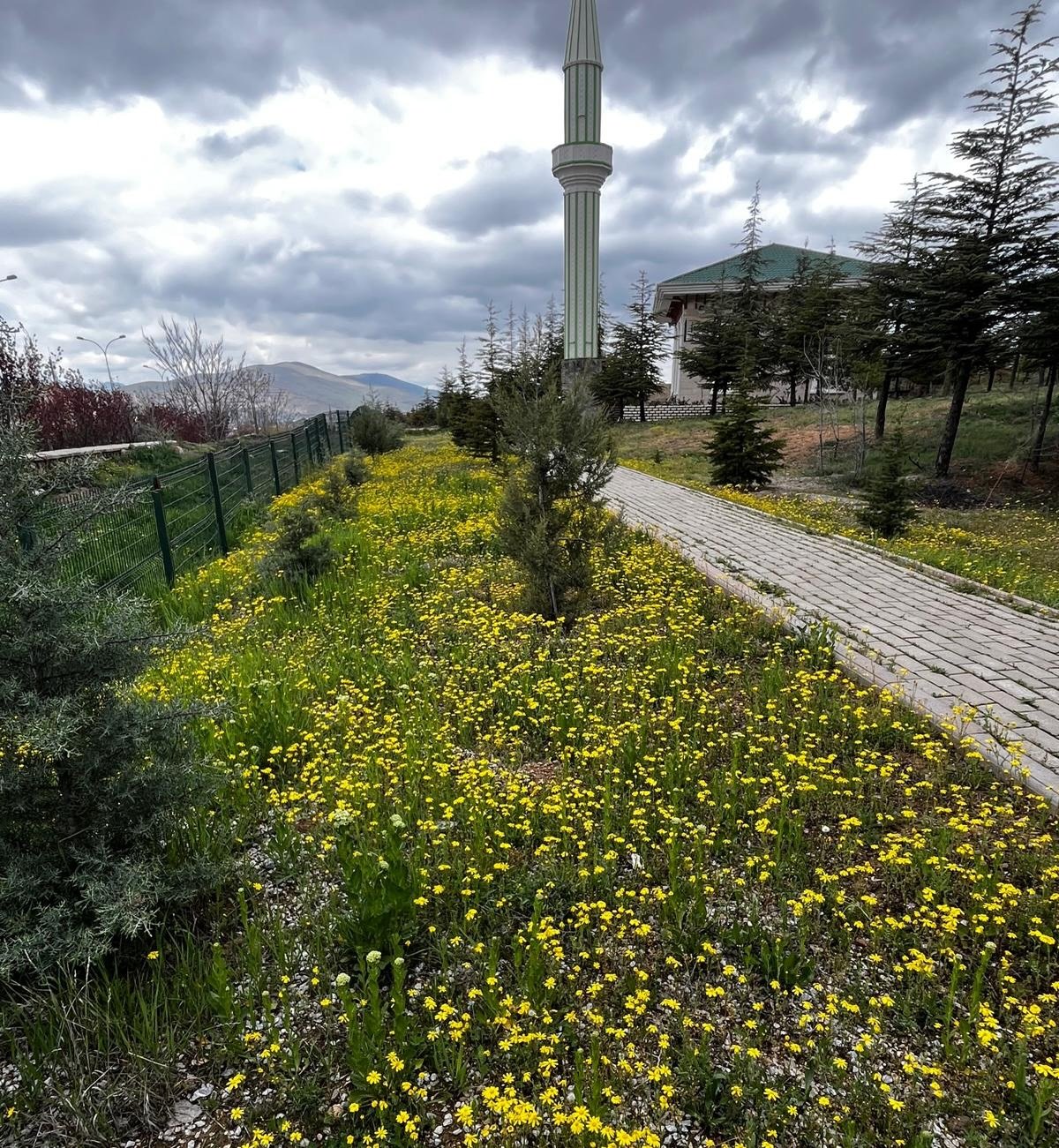 Kırşehir’de Baharın Kalbi Aşıkpaşa’da Atıyor!3-1