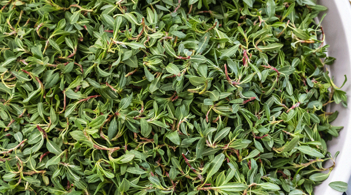 Kırşehir’de Baharın Tadı Bu Yemek Ile Çıkıyor!