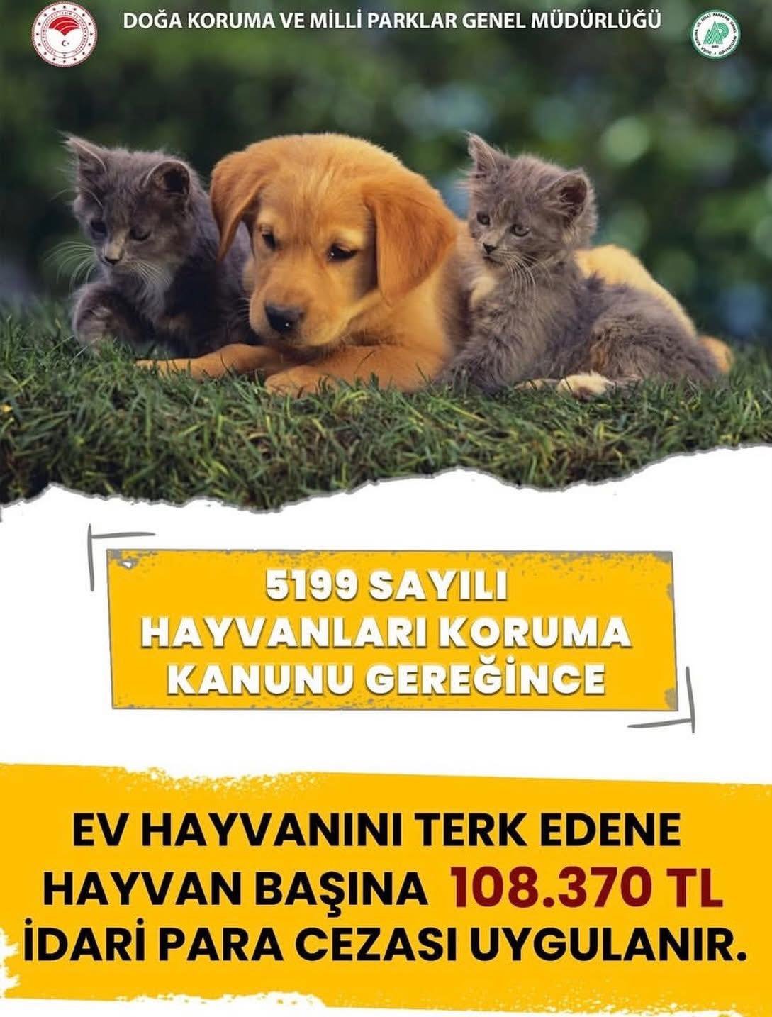 Kırşehir’de Bir Hayvanı Terk Etmenin Cezası Dudak Uçuklatıyor