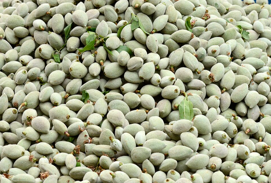 Kırşehir’de Bu Sorunun Cevabı Büyük Tartışma Yarattı