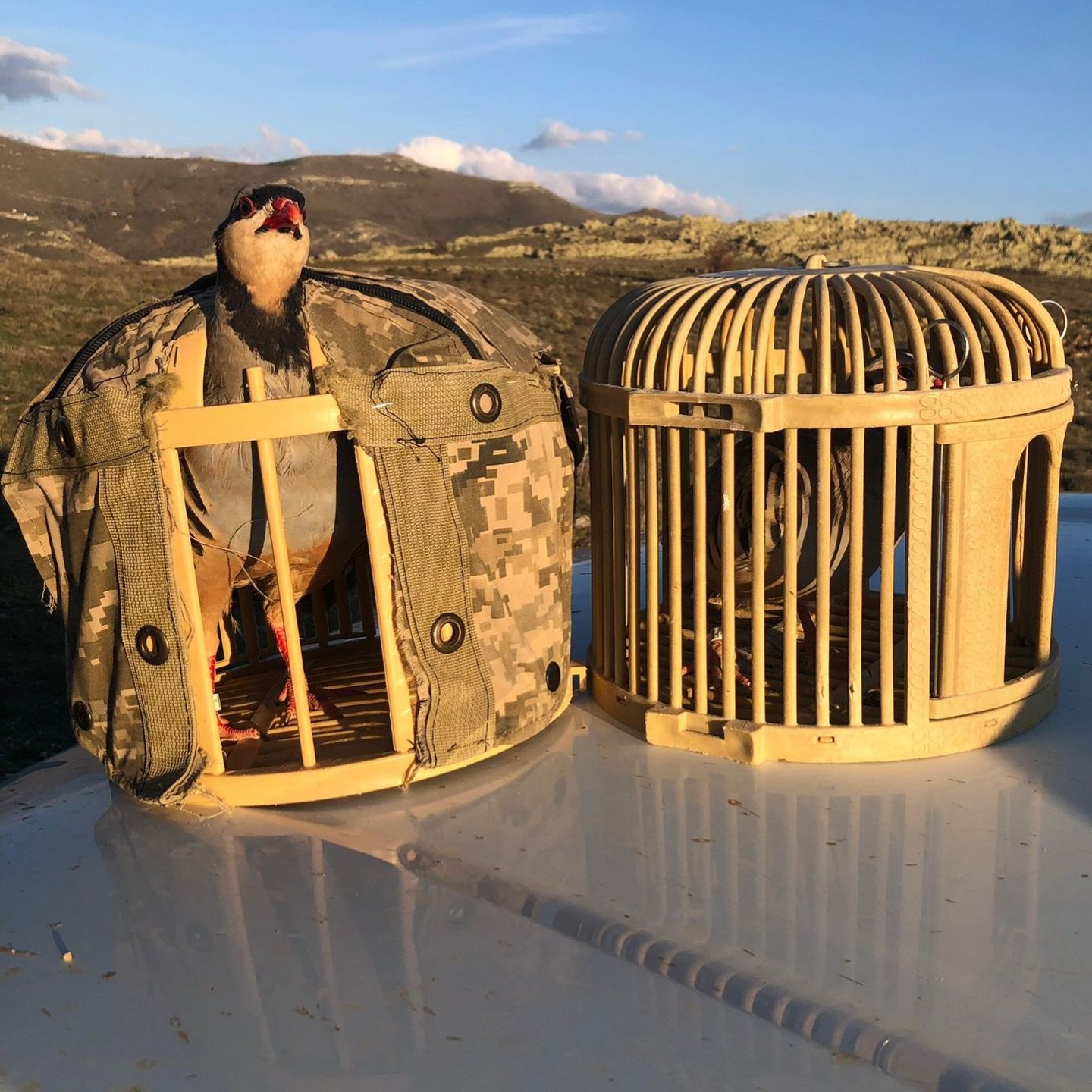 Kırşehir’de Yasadışı Avcılığa Geçit Yok!