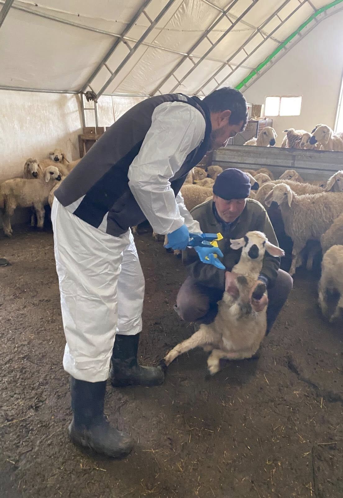 Sürdürülebilir Tarım Için Kırşehir’de Sahada Denetim2