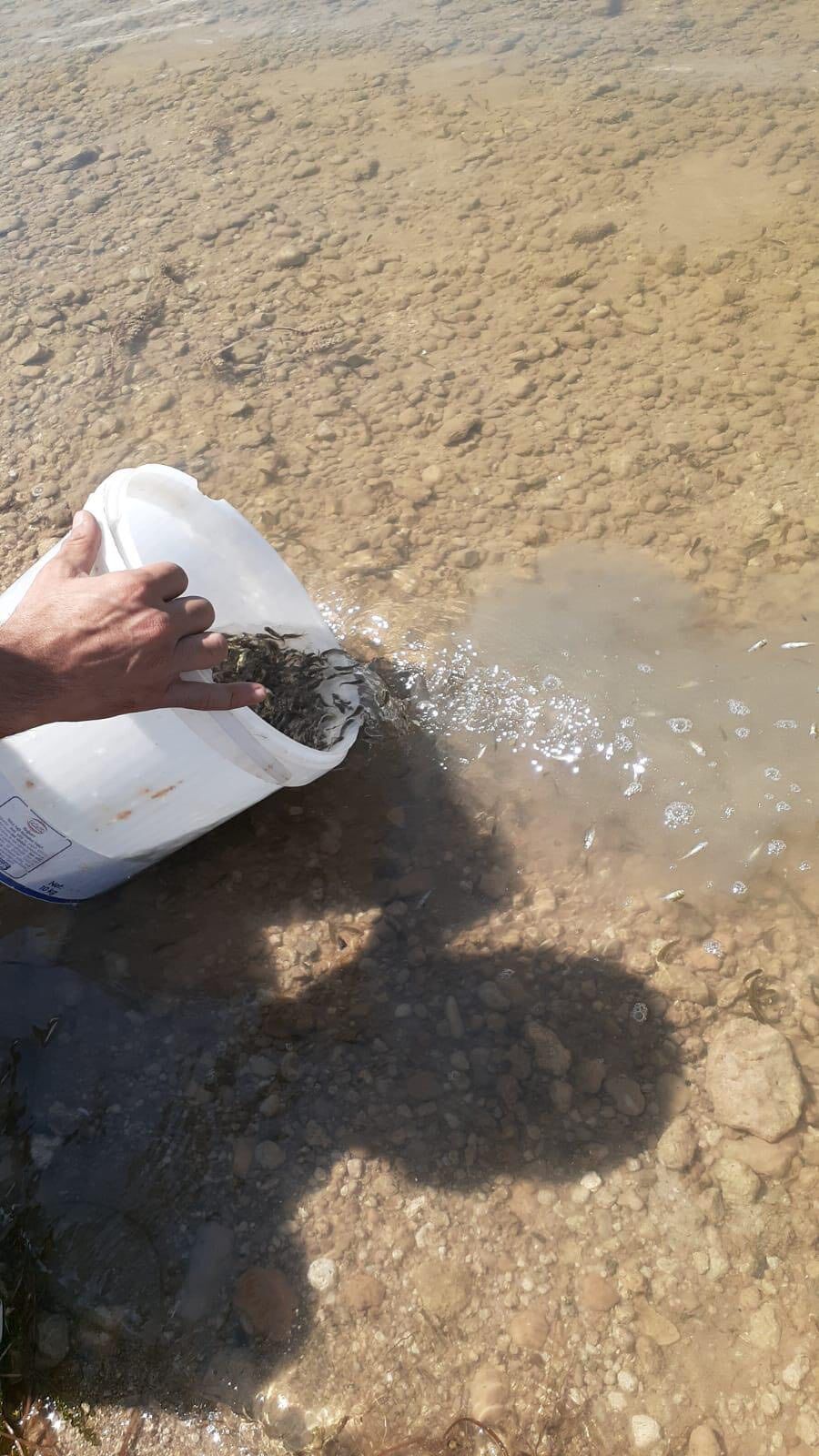 Üreten Kırşehir’de Balıkçılığa Destek Sürüyor!3