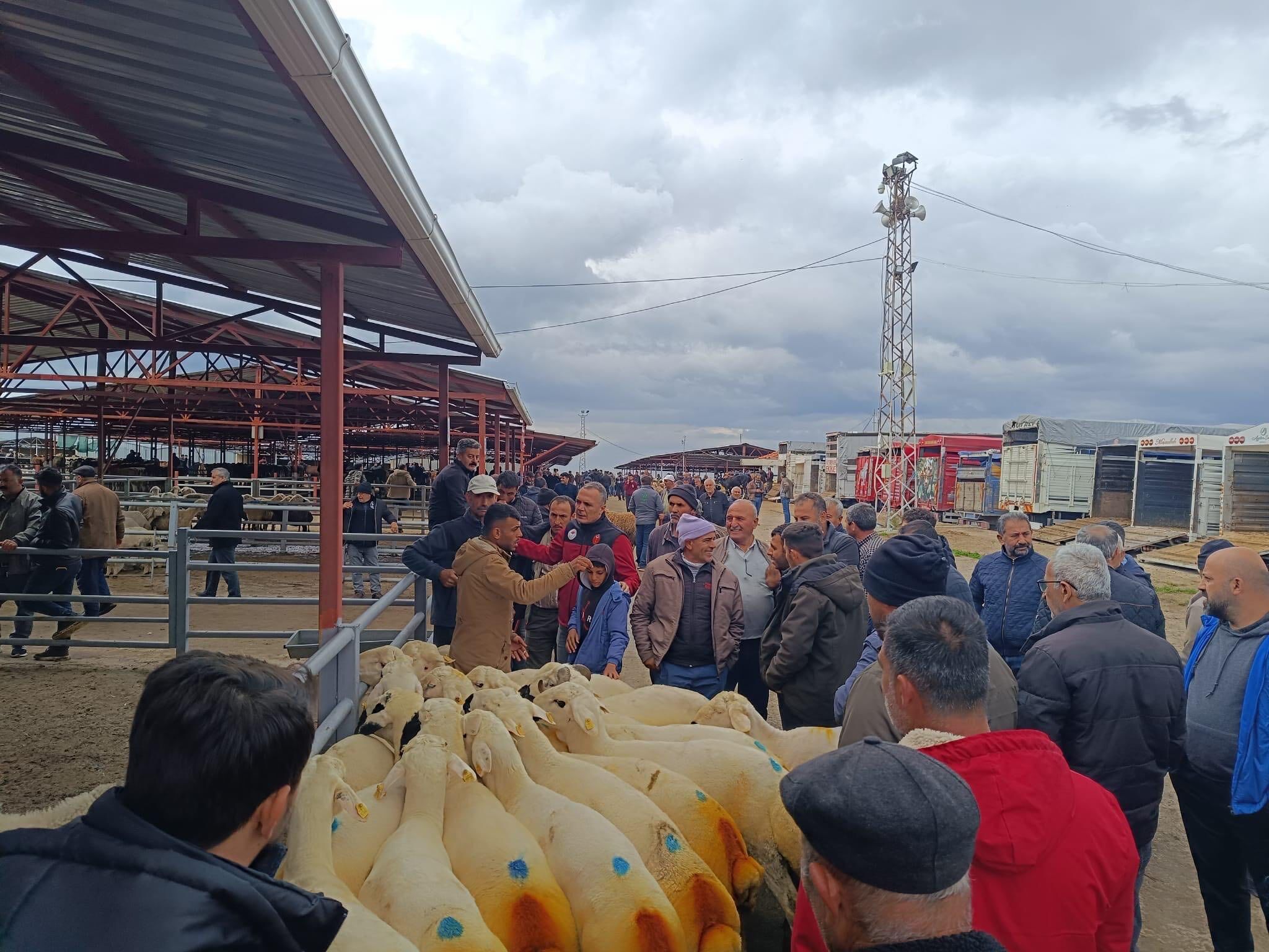 Kırşehir’de Zaman Daraldı Denetimler Sıkılaştırıldı!