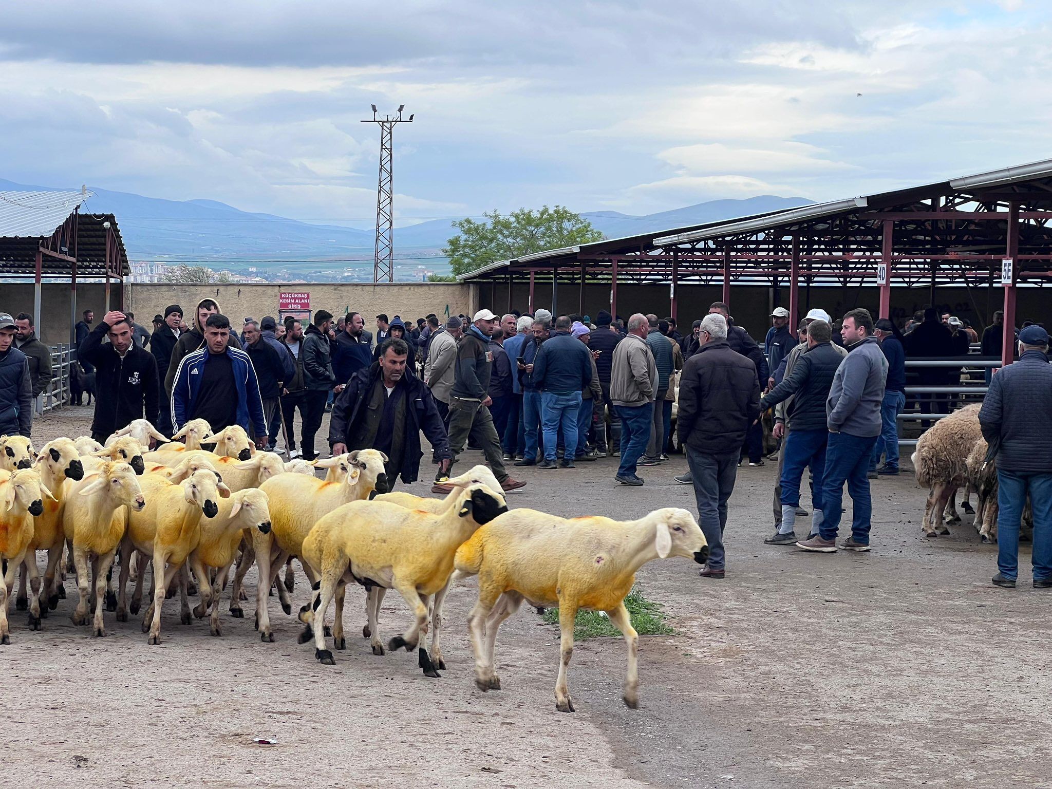 Kırşehir’de Zaman Daraldı Denetimler Sıkılaştırıldı!4