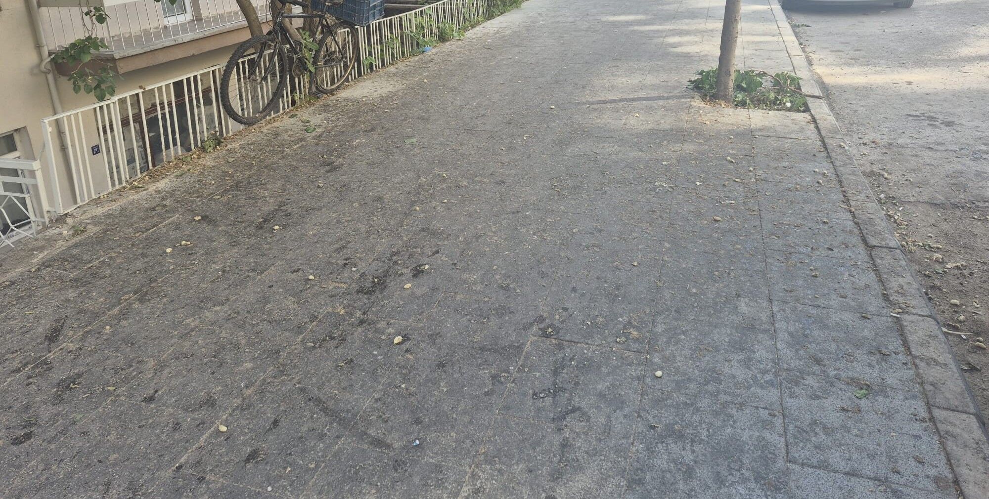 Whatsapp Image 2026 07 15 At 09.21.22,,