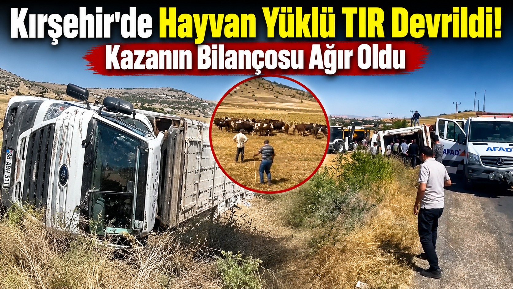 Kırşehir’de Hayvan Yüklü TIR Devrildi! Kazanın Bilançosu Ağır Oldu